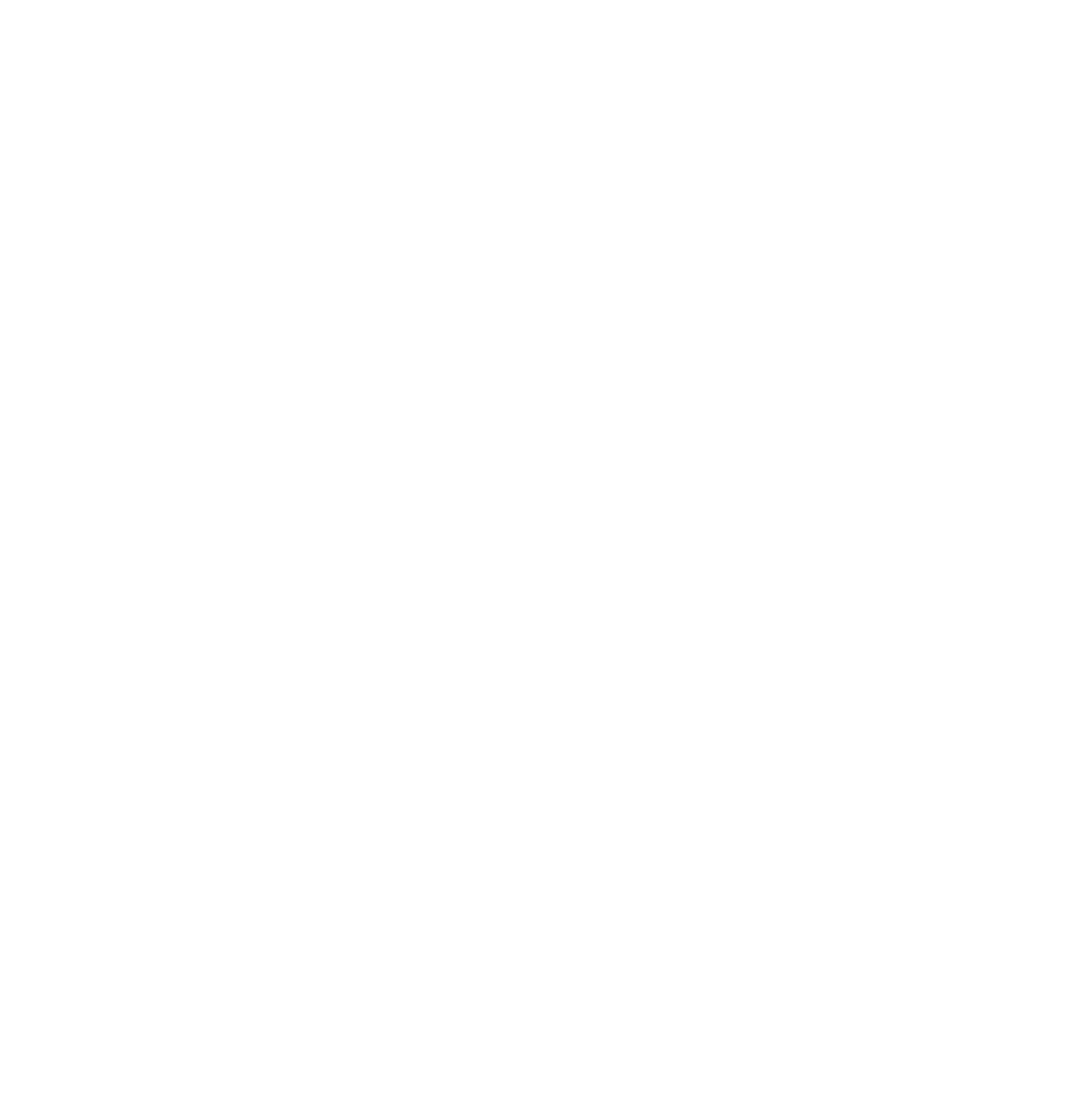 Telematikinfrastruktur icon